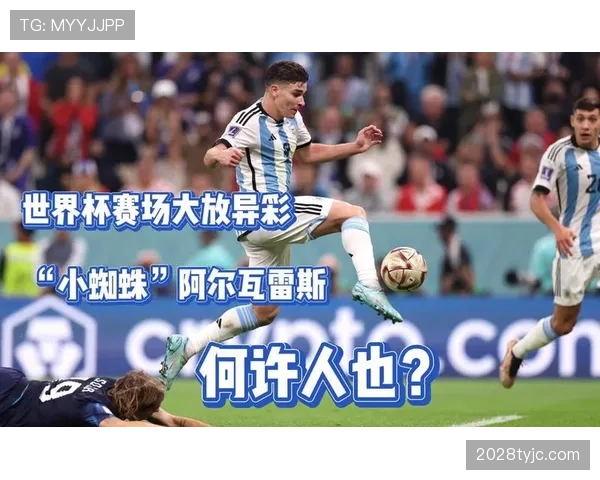 阿尔瓦雷斯世界杯表现的含金量体现在哪些关键维度