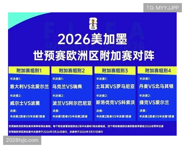 波黑2026世界杯阵容预测 哲科领衔能否创造历史最佳战绩